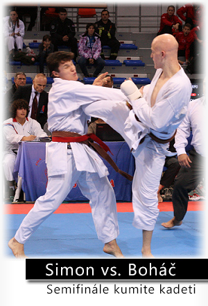 Mistrovství světa JKA karate, 14th Funakoshi Gichin Cup