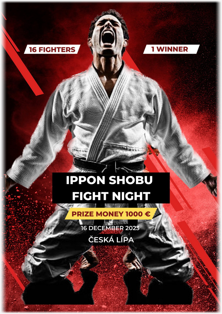 Ippon shobu fight night